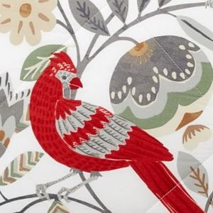 Pottery Barn RARE Jolly Bird Quilted EURO shams (2 shams)